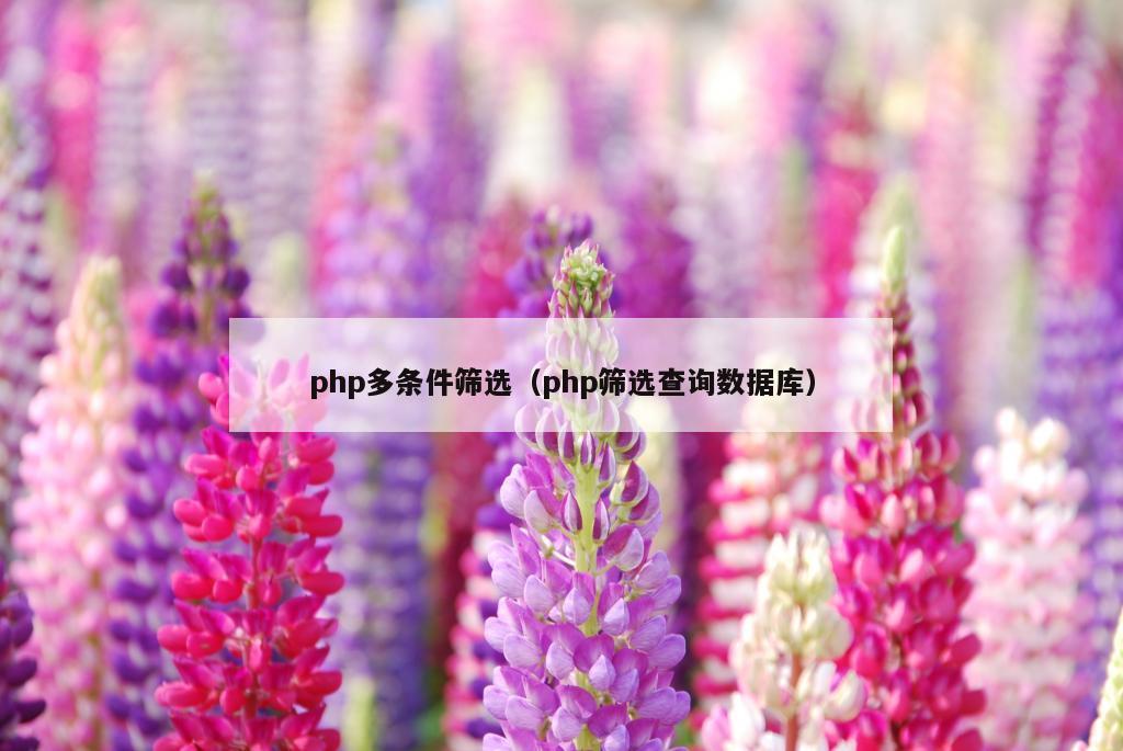 php多条件筛选（php筛选查询数据库）