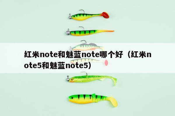 红米note和魅蓝note哪个好（红米note5和魅蓝note5）