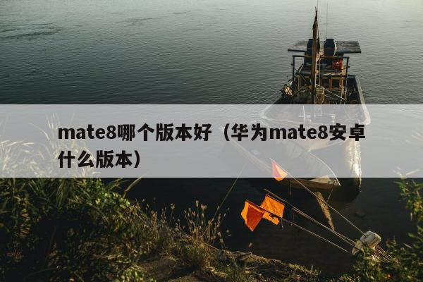 mate8哪个版本好（华为mate8安卓什么版本）