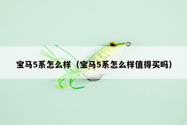 宝马5系怎么样（宝马5系怎么样值得买吗）