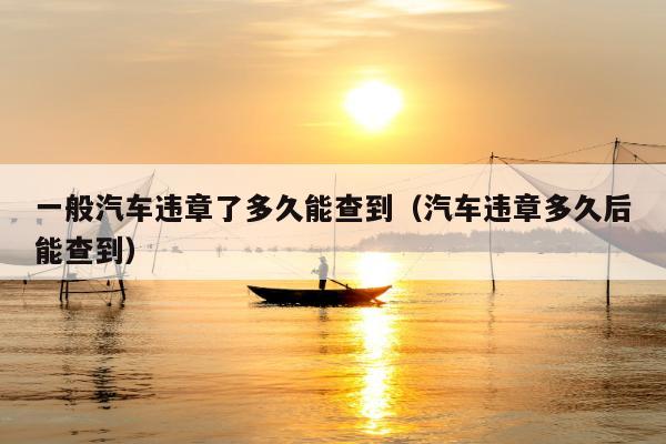 一般汽车违章了多久能查到（汽车违章多久后能查到）