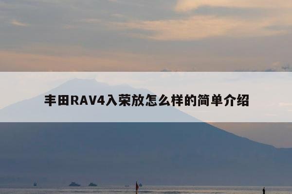 丰田RAV4入荣放怎么样的简单介绍