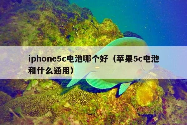 iphone5c电池哪个好（苹果5c电池和什么通用）