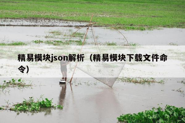 精易模块json解析（精易模块下载文件命令）