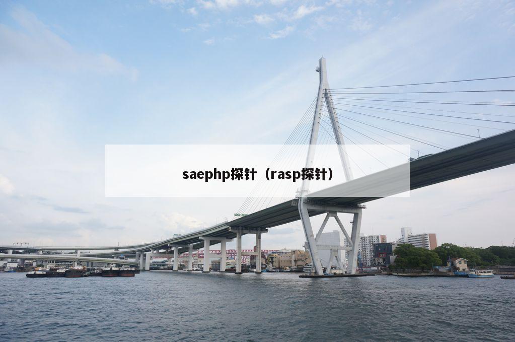 saephp探针（rasp探针）