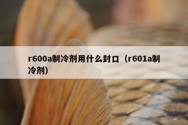 r600a制冷剂用什么封口（r601a制冷剂）