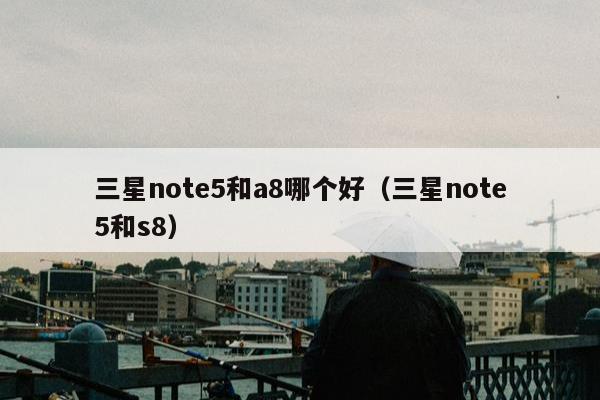 三星note5和a8哪个好（三星note5和s8）