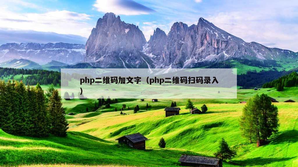 php二维码加文字（php二维码扫码录入）