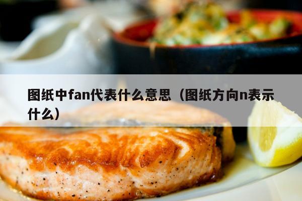 图纸中fan代表什么意思（图纸方向n表示什么）