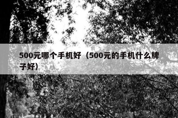 500元哪个手机好（500元的手机什么牌子好）