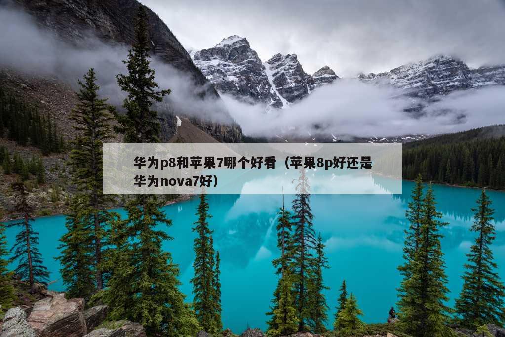 华为p8和苹果7哪个好看（苹果8p好还是华为nova7好）