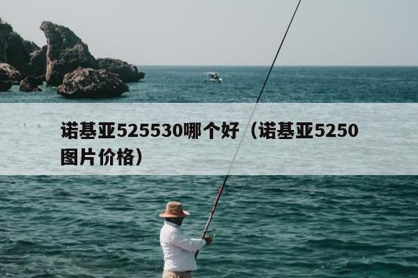 诺基亚525530哪个好（诺基亚5250图片价格）