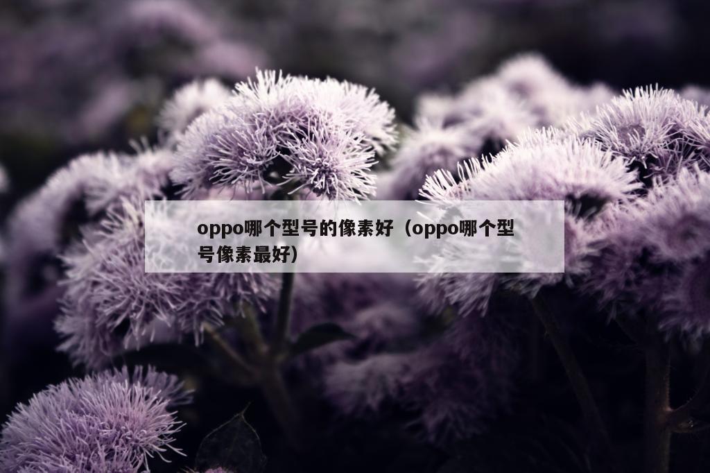 oppo哪个型号的像素好（oppo哪个型号像素最好）