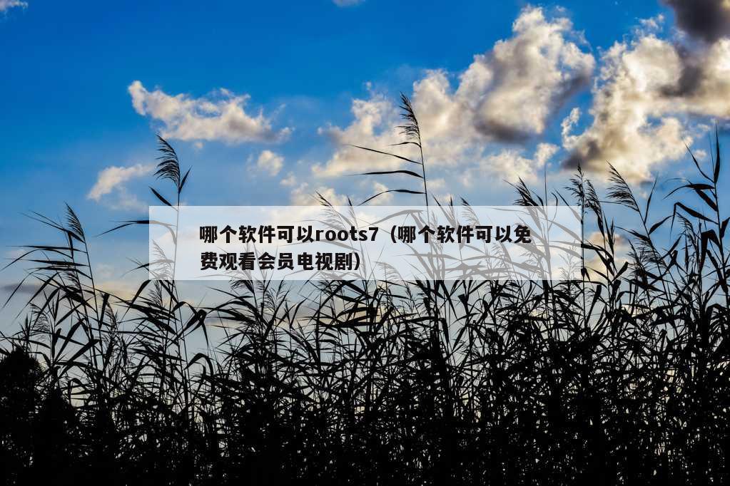 哪个软件可以roots7（哪个软件可以免费观看会员电视剧）