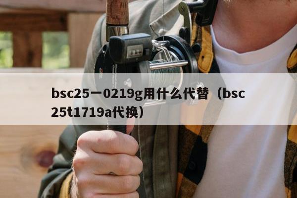 bsc25一0219g用什么代替（bsc25t1719a代换）