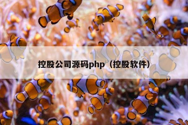 控股公司源码php（控股软件）