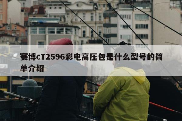 赛博cT2596彩电高压包是什么型号的简单介绍