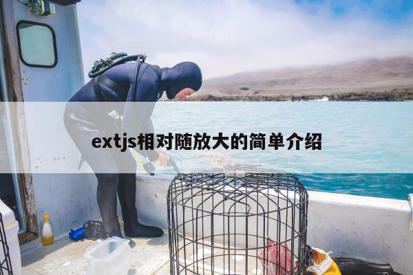 extjs相对随放大的简单介绍