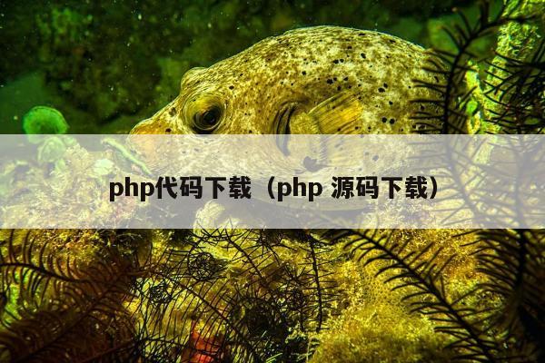 php代码下载（php 源码下载）