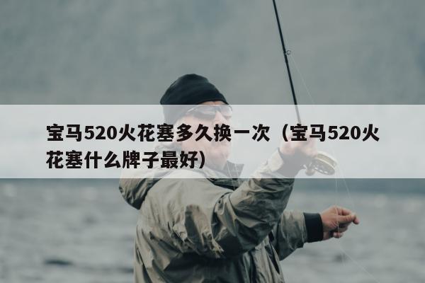 宝马520火花塞多久换一次（宝马520火花塞什么牌子最好）