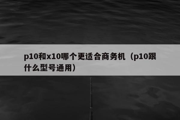 p10和x10哪个更适合商务机（p10跟什么型号通用）