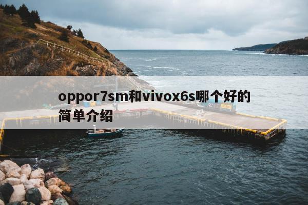 oppor7sm和vivox6s哪个好的简单介绍