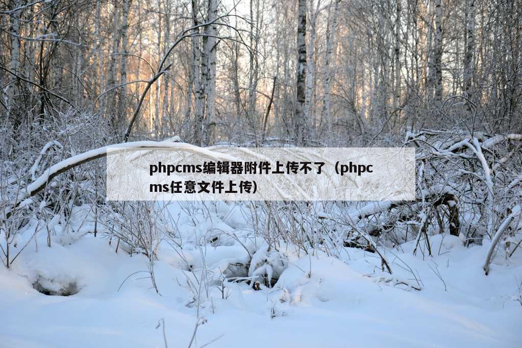 phpcms编辑器附件上传不了（phpcms任意文件上传）