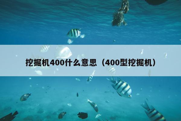 挖掘机400什么意思（400型挖掘机）