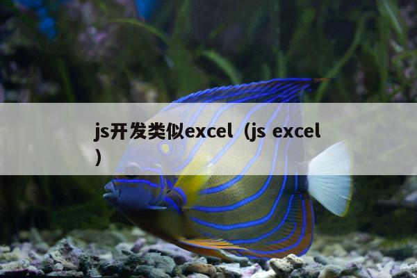 js开发类似excel（js excel）