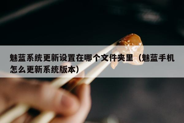 魅蓝系统更新设置在哪个文件夹里（魅蓝手机怎么更新系统版本）