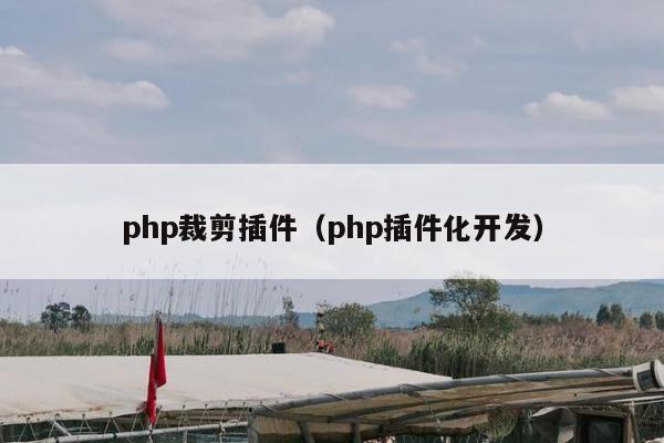 php裁剪插件（php插件化开发）