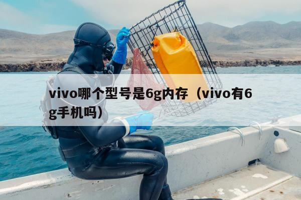 vivo哪个型号是6g内存（vivo有6g手机吗）