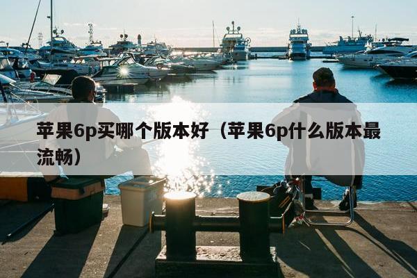 苹果6p买哪个版本好（苹果6p什么版本最流畅）