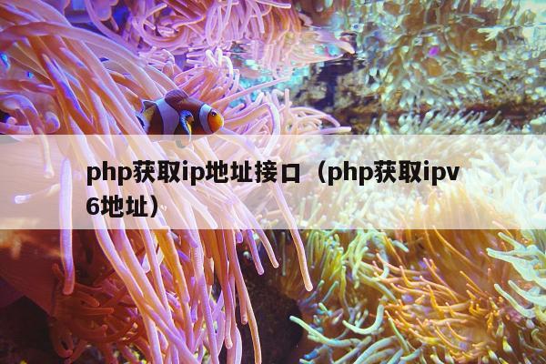 php获取ip地址接口（php获取ipv6地址）