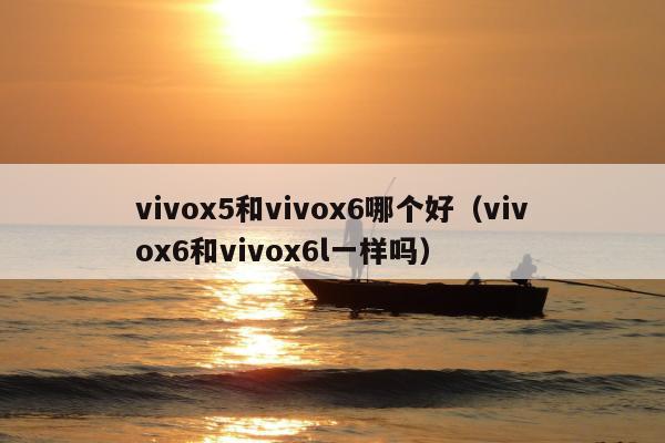 vivox5和vivox6哪个好（vivox6和vivox6l一样吗）