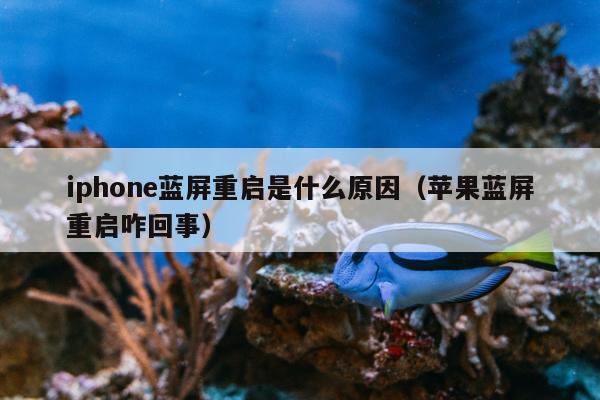 iphone蓝屏重启是什么原因（苹果蓝屏重启咋回事）