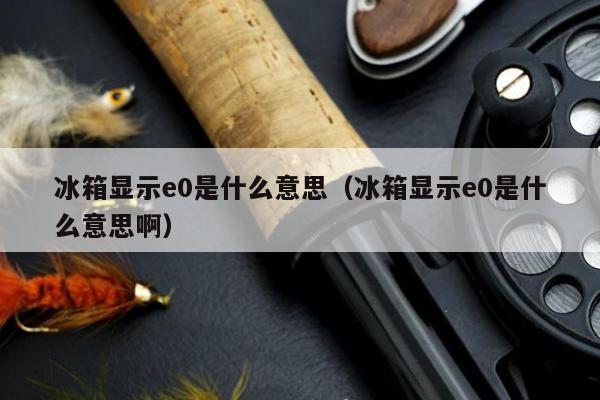 冰箱显示e0是什么意思（冰箱显示e0是什么意思啊）