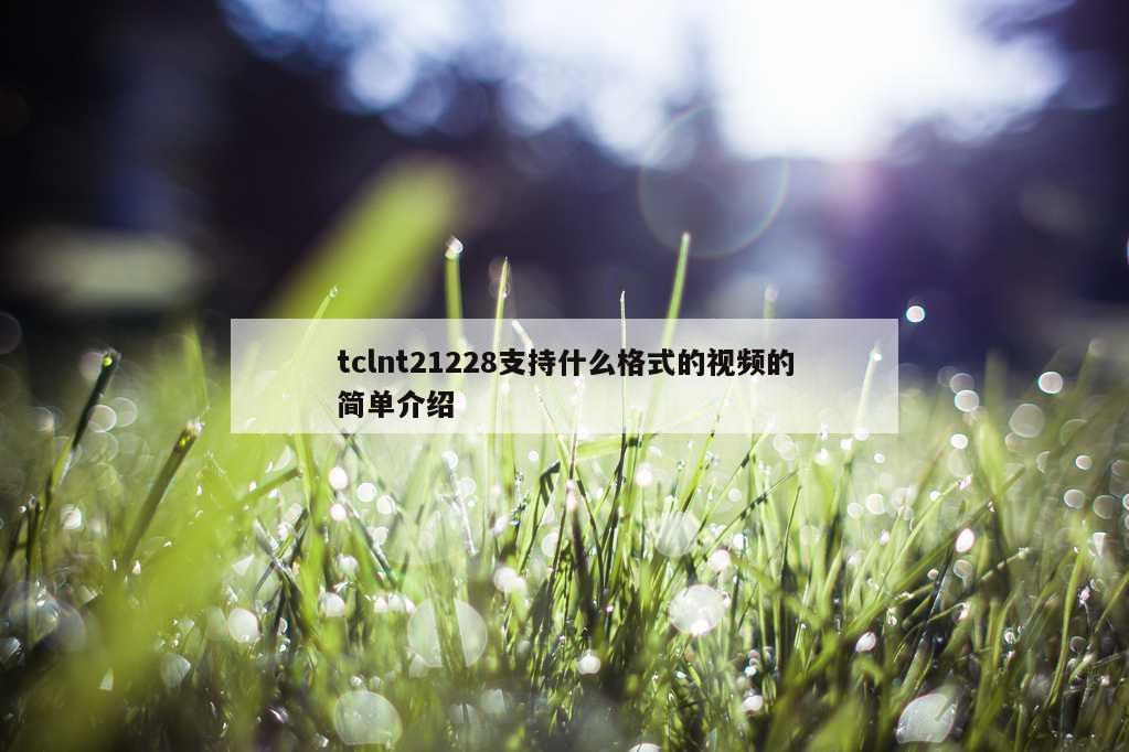 tclnt21228支持什么格式的视频的简单介绍