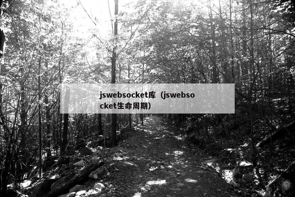 jswebsocket库（jswebsocket生命周期）