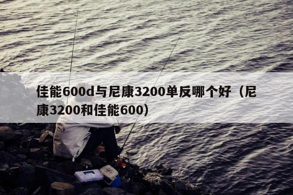 佳能600d与尼康3200单反哪个好（尼康3200和佳能600）