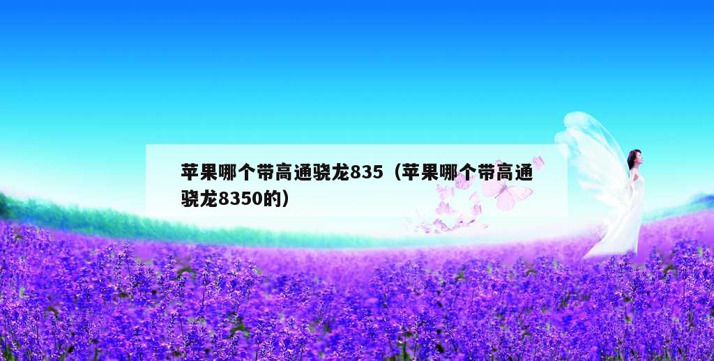 苹果哪个带高通骁龙835（苹果哪个带高通骁龙8350的）