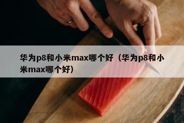 华为p8和小米max哪个好（华为p8和小米max哪个好）