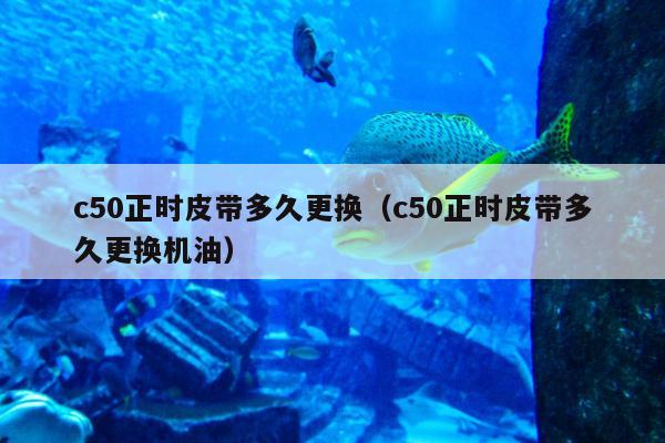 c50正时皮带多久更换（c50正时皮带多久更换机油）