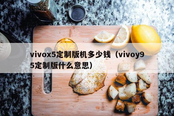 vivox5定制版机多少钱（vivoy95定制版什么意思）