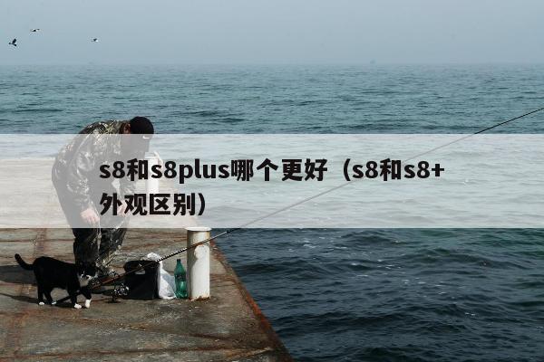 s8和s8plus哪个更好（s8和s8+外观区别）