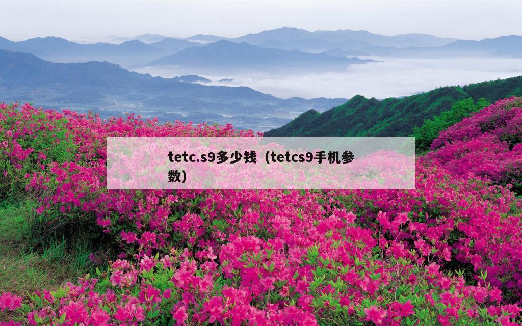 tetc.s9多少钱（tetcs9手机参数）