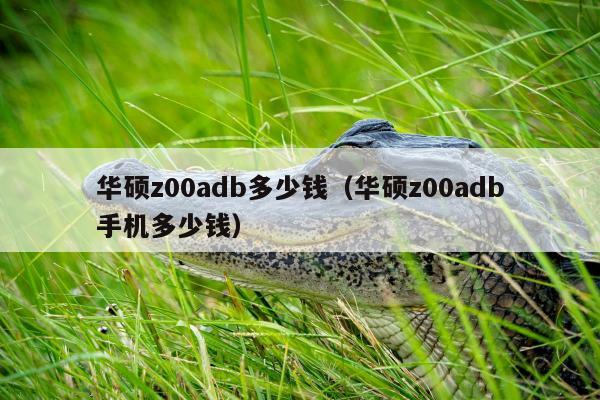 华硕z00adb多少钱（华硕z00adb手机多少钱）