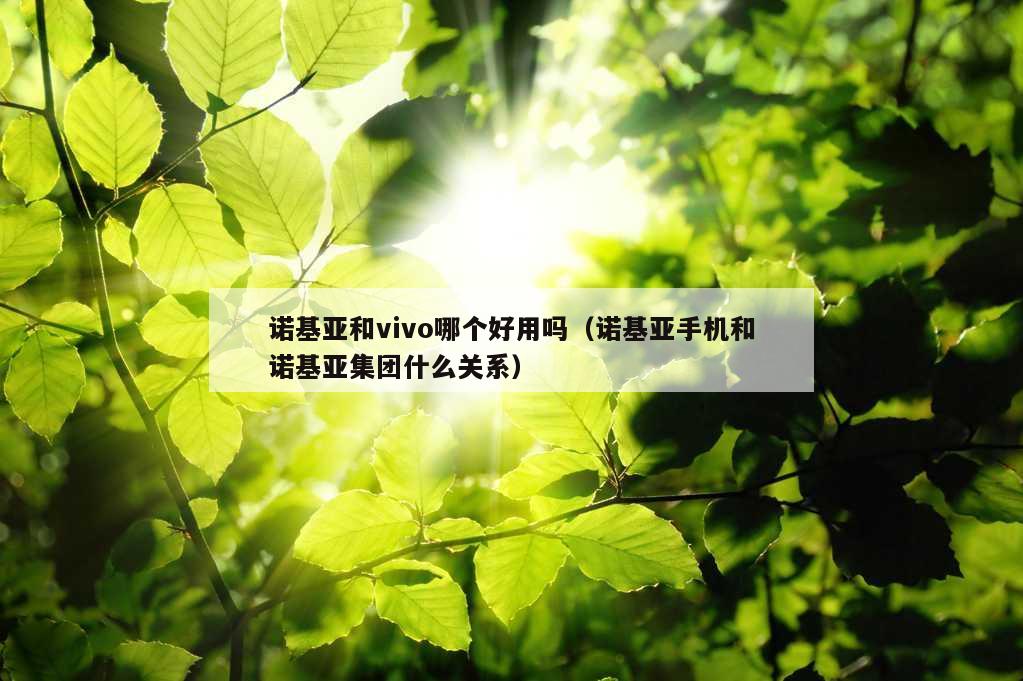 诺基亚和vivo哪个好用吗（诺基亚手机和诺基亚集团什么关系）