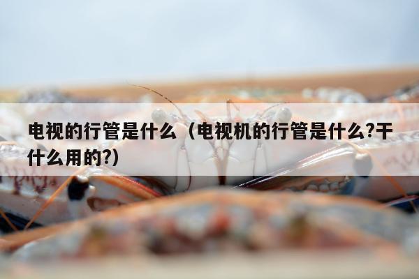 电视的行管是什么（电视机的行管是什么?干什么用的?）