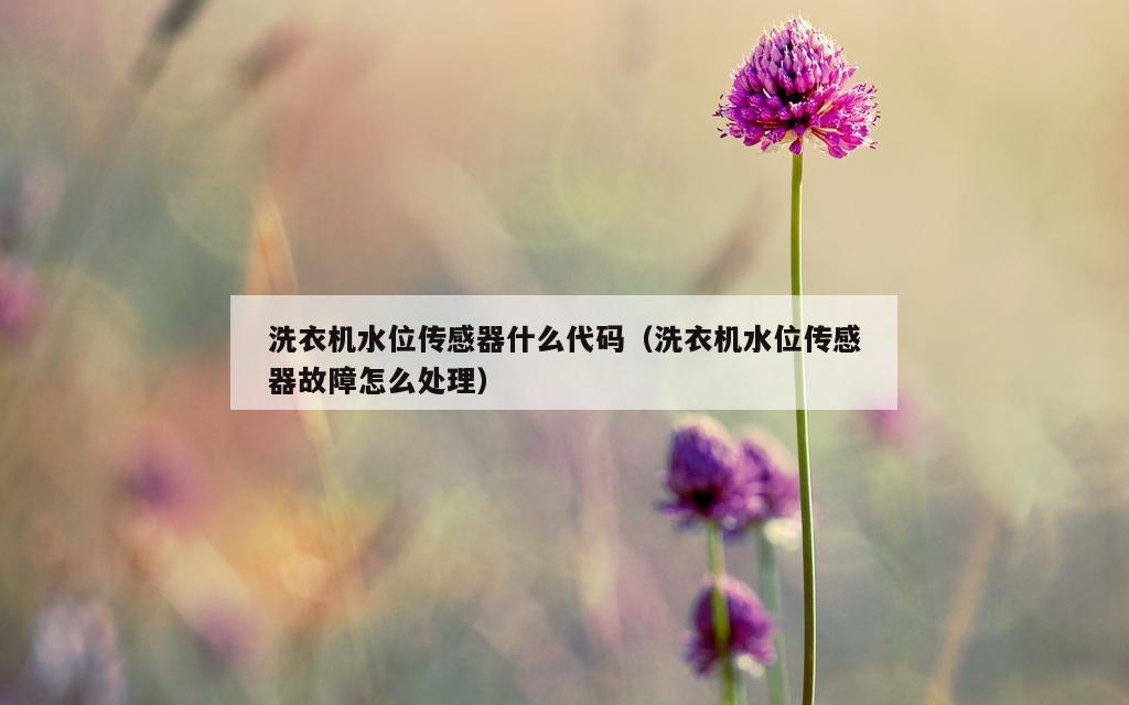 洗衣机水位传感器什么代码（洗衣机水位传感器故障怎么处理）